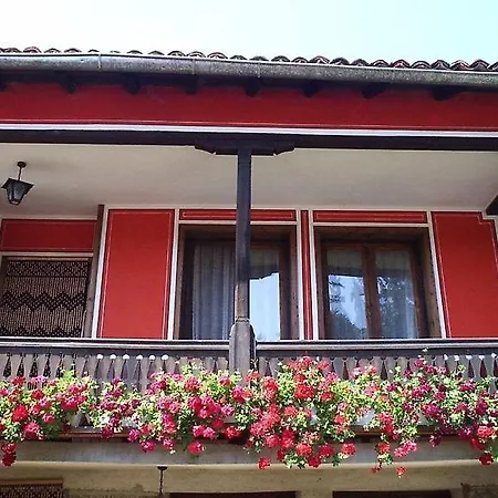 астра Koprivshtitsa
